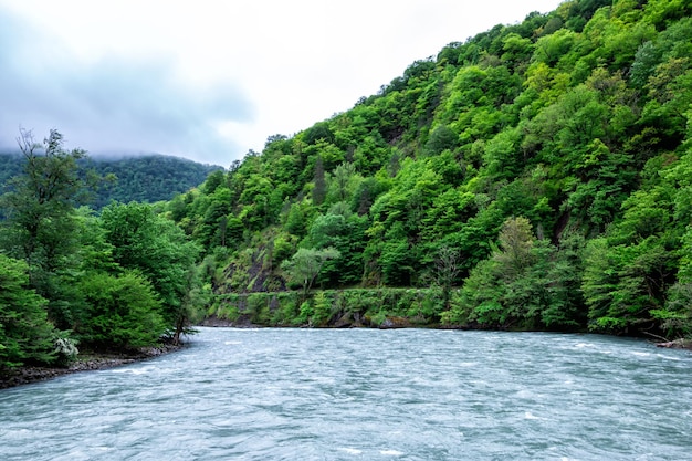 Fiume di montagna e foresta ricoperti da basse nuvole nuvolose