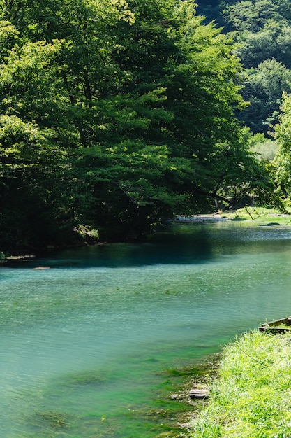 fiume di montagna fiume limpido