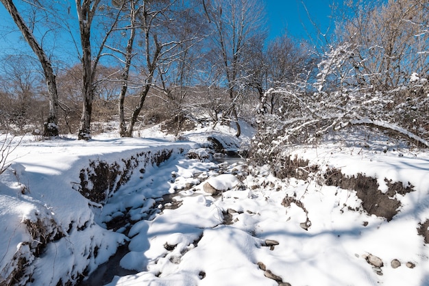 Fiume di montagna ghiacciato durante la stagione invernale