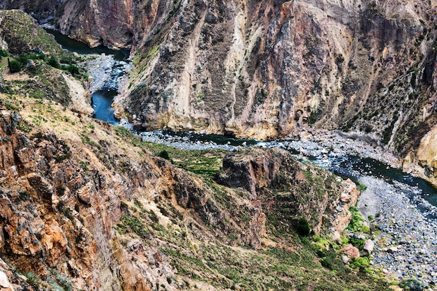 Fiume di montagna in un canyon