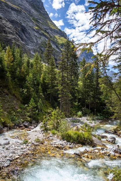 Fiume di montagna nel Parco nazionale della Vanoise valle alpina Savoie Alpi francesi