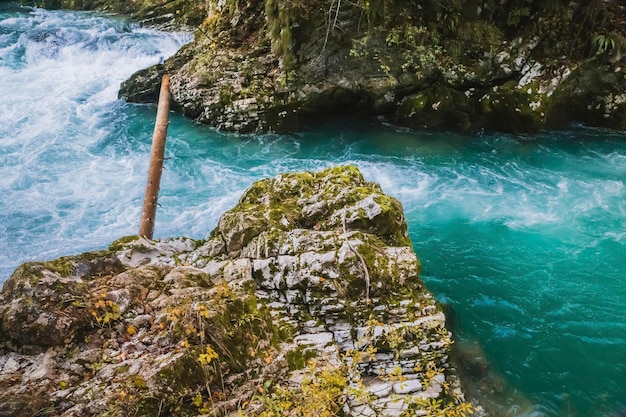 fiume di montagna nella gola di vintgar in Slovenia