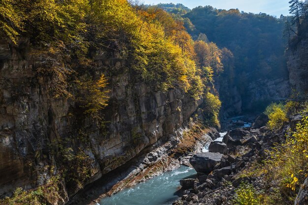 Fiume di montagna nella gola in autunno