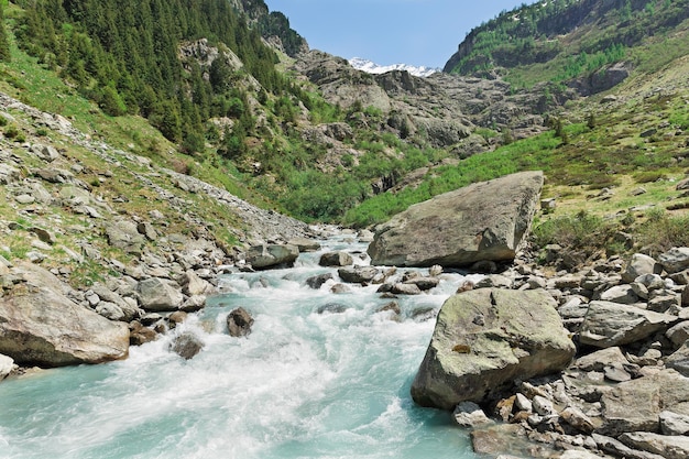 Fiume di montagna nelle Alpi Svizzera