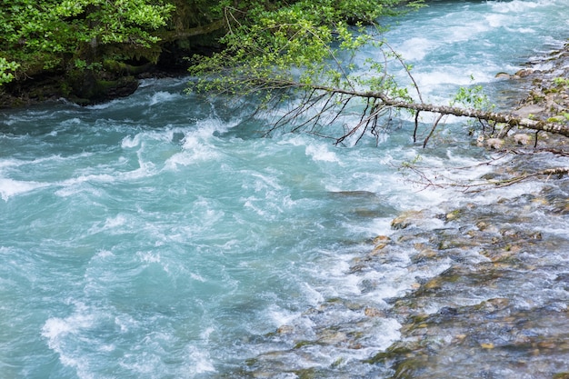 Fiume di montagna nelle montagne dell'Abkhazia