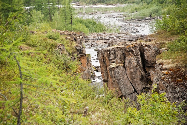 Fiume di montagna nelle rocce