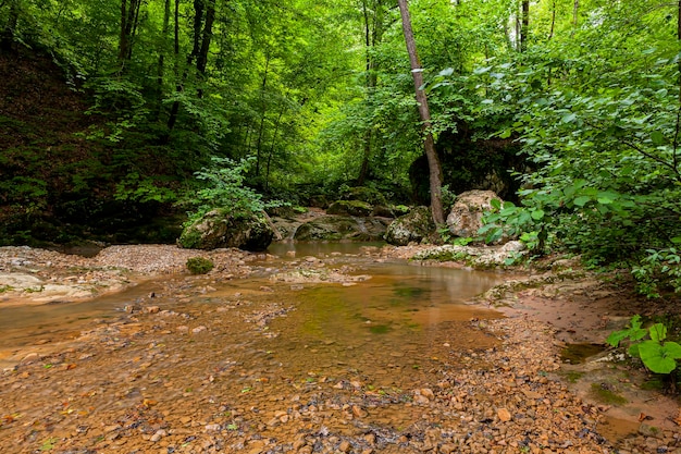 Fiume di montagna Repubblica di Adygea