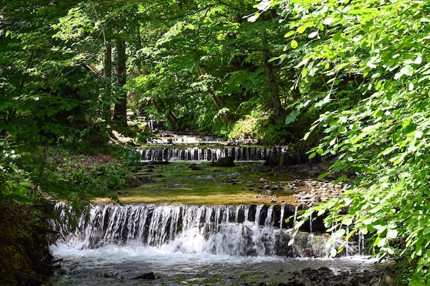 fiume di montagna scorre lungo il fianco della montagna