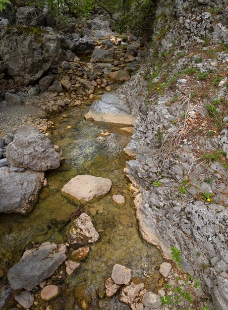 Fiume di montagna sul monte Dirfys sull'isola greca di Evia in Grecia in una soleggiata giornata invernale in Grecia