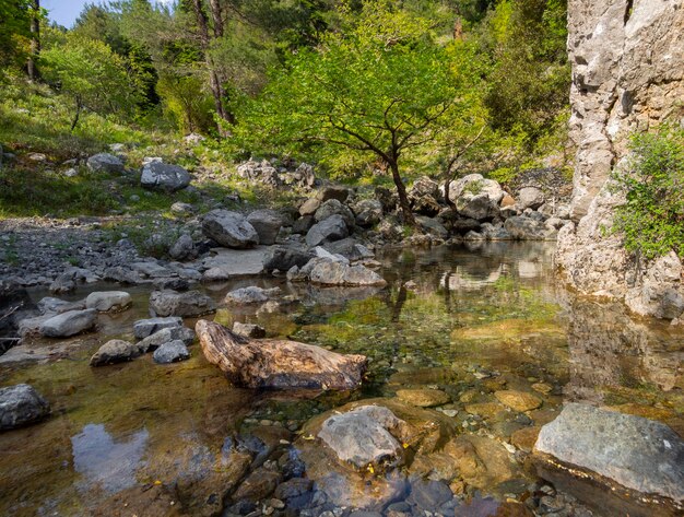 Fiume di montagna sul monte Dirfys sull'isola greca di Evia in Grecia in una soleggiata giornata invernale in Grecia