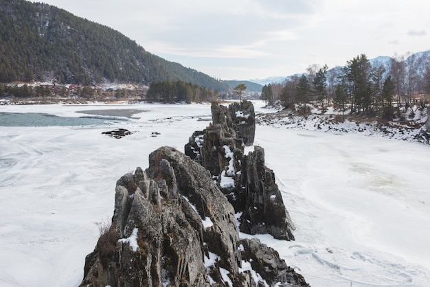 Fiume di montagna veloce Katun in inverno