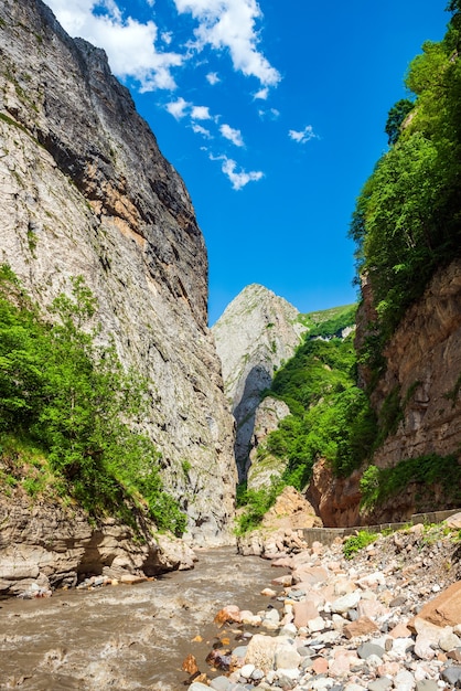 Fiume di montagna veloce nella gola