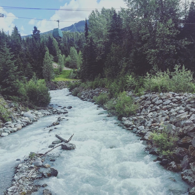 fiume di montagna