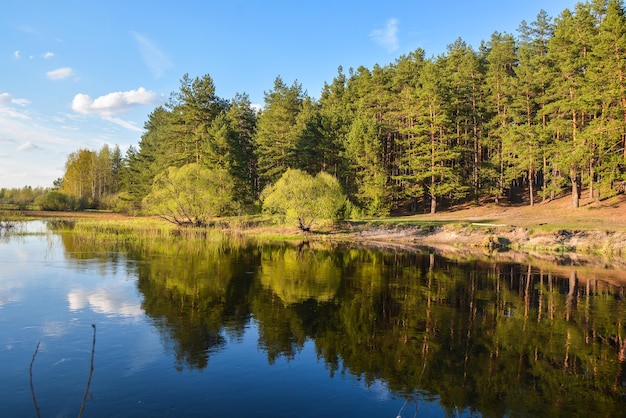 Fiume di primavera nella regione del Parco Nazionale Meshersky Ryazan