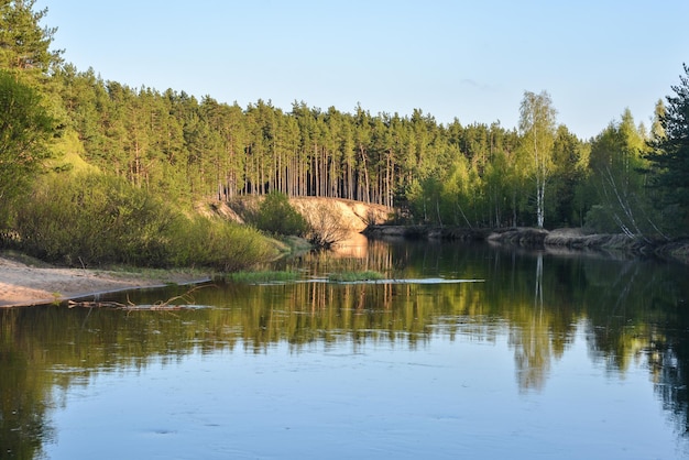 Fiume di primavera nella regione del Parco Nazionale Meshersky Ryazan