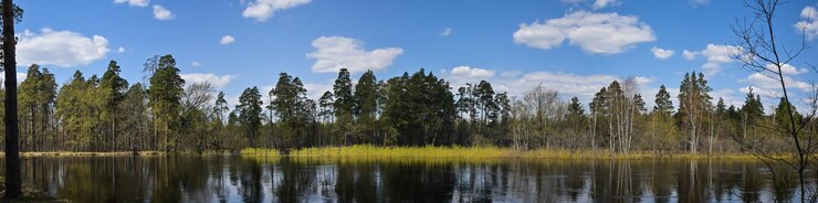 Foto fiume di riserva forestale nella russia centrale