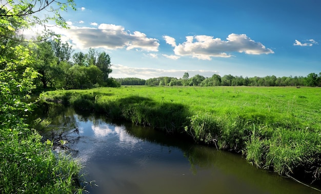 Fiume e campo in primavera in una giornata di sole