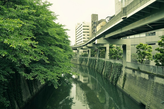 Fiume Edogawa con alberi verdi su un lato e autostrada impiccata su un altro lato all'interno della metropoli di Tokyo