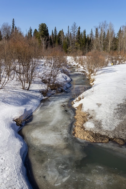 Fiume ghiacciato in inverno nella foresta. Giorno soleggiato. Bellissimo paesaggio invernale.