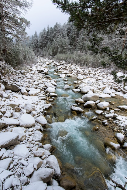 Fiume in montagna. zona montuosa. cascate nelle montagne nella foresta, paesaggio invernale dei fiumi di montagna