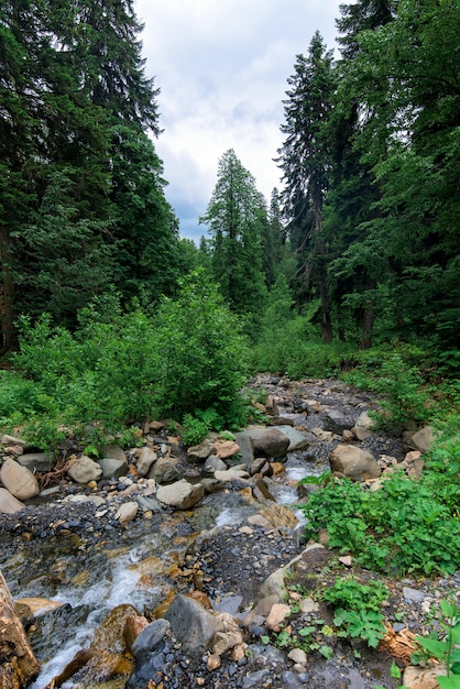 Fiume in montagna