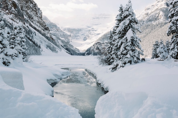 Fiume in montagne innevate