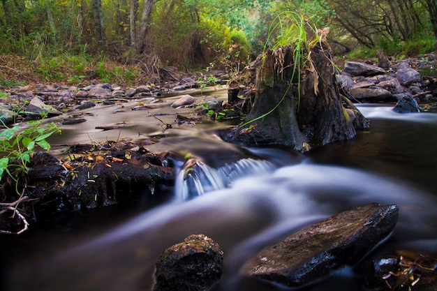 Fiume interno