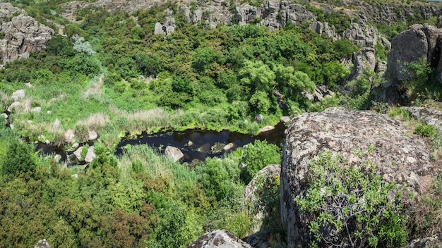 Fiume Mertvovod in una soleggiata giornata estiva