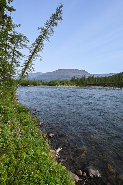 Fiume Nakta sull'altopiano Putorana