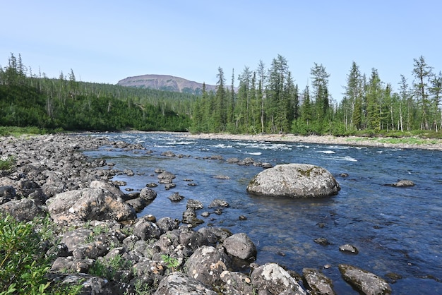 Fiume Nakta sull'altopiano Putorana