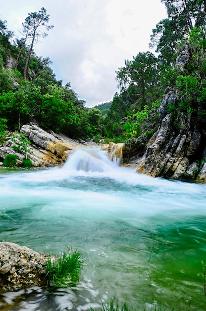 Fiume naturale d'acqua che scorre permanentemente