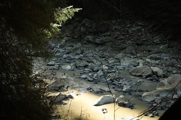 Fiume nei Carpazi in autunno