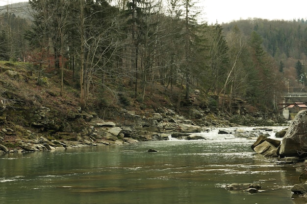 Fiume nei Carpazi in autunno