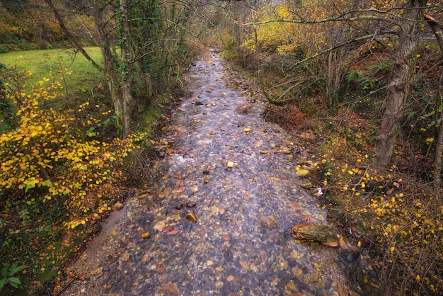 Fiume nel parco naturale di Somiedo, Asturie, Spagna.