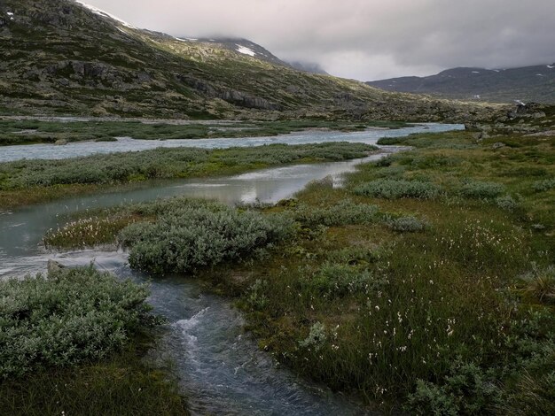 fiume nel Parco Nazionale di Breheimen in Norvegia dove si possono sperimentare montagne sterili fiumi opalescenti ghiacciai e natura accidentata intatta