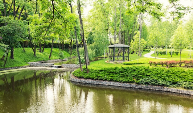 Fiume nel parco