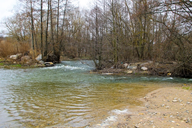 Fiume nella foresta in primavera