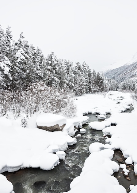 Fiume nella foresta invernale dopo la nevicata. Bellissimo paesaggio invernale nelle montagne del Caucaso, Russia