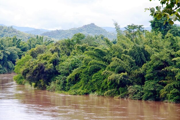 Fiume nella giungla Thailandia