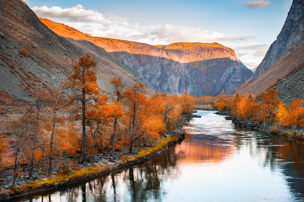 Fiume nella gola di montagna al tramonto, paesaggio autunnale. Fiume Chulyshman, Repubblica di Altai, Siberia, Russia