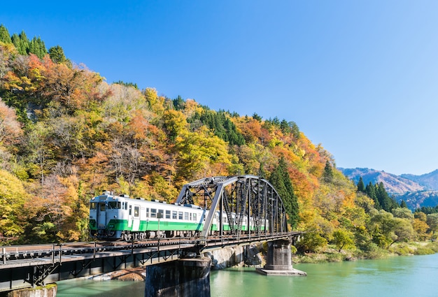 Fiume nero di Tadami del ponte nero di Fukushima