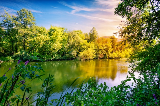 Fiume o lago blu con gli alberi verde intenso sulla riva