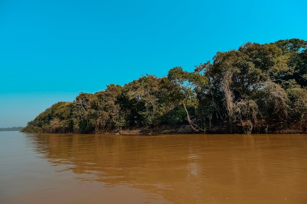 Fiume Pantanal e ecosistema forestale Mato Grosso Brasile