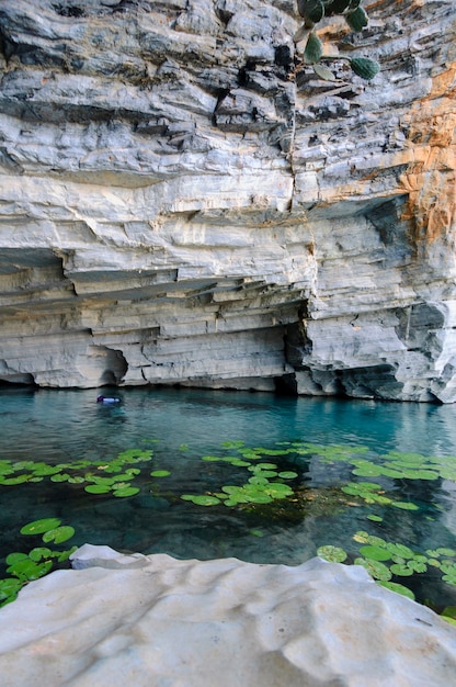 Fiume Pratinha Chapada Diamantina National Park Iraquara Bahia Brasile