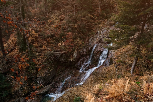 Fiume profondo nella foresta di montagna. Composizione della natura. Fiume Mendelich nel Caucaso settentrionale, Rosa Khutor, Russia, Sochi. bella cascata nella foresta autunnale, nebbia e pioggia.