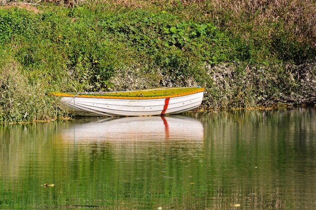 Fiume selvaggio Brenta