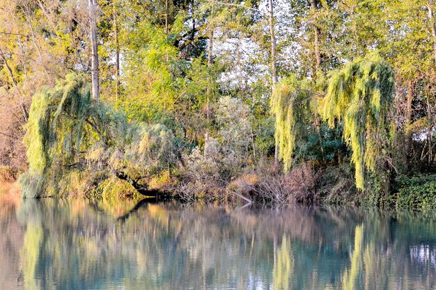 Fiume selvaggio Brenta