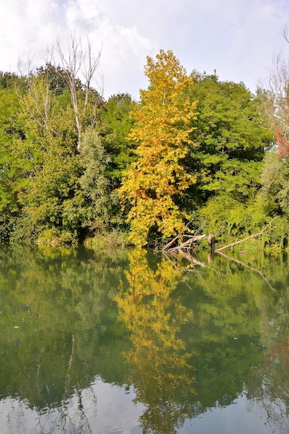 Fiume selvaggio Brenta