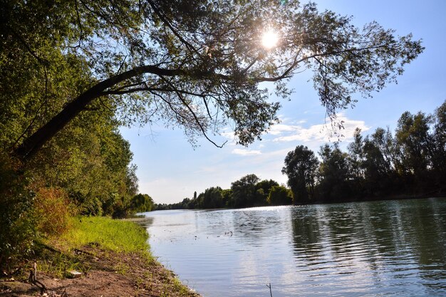 Fiume selvaggio Brenta