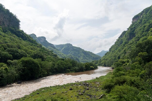 Fiume sporco visto attraverso il burrone huentitan a Guadalajara vegetazione verde alberi piante e monte